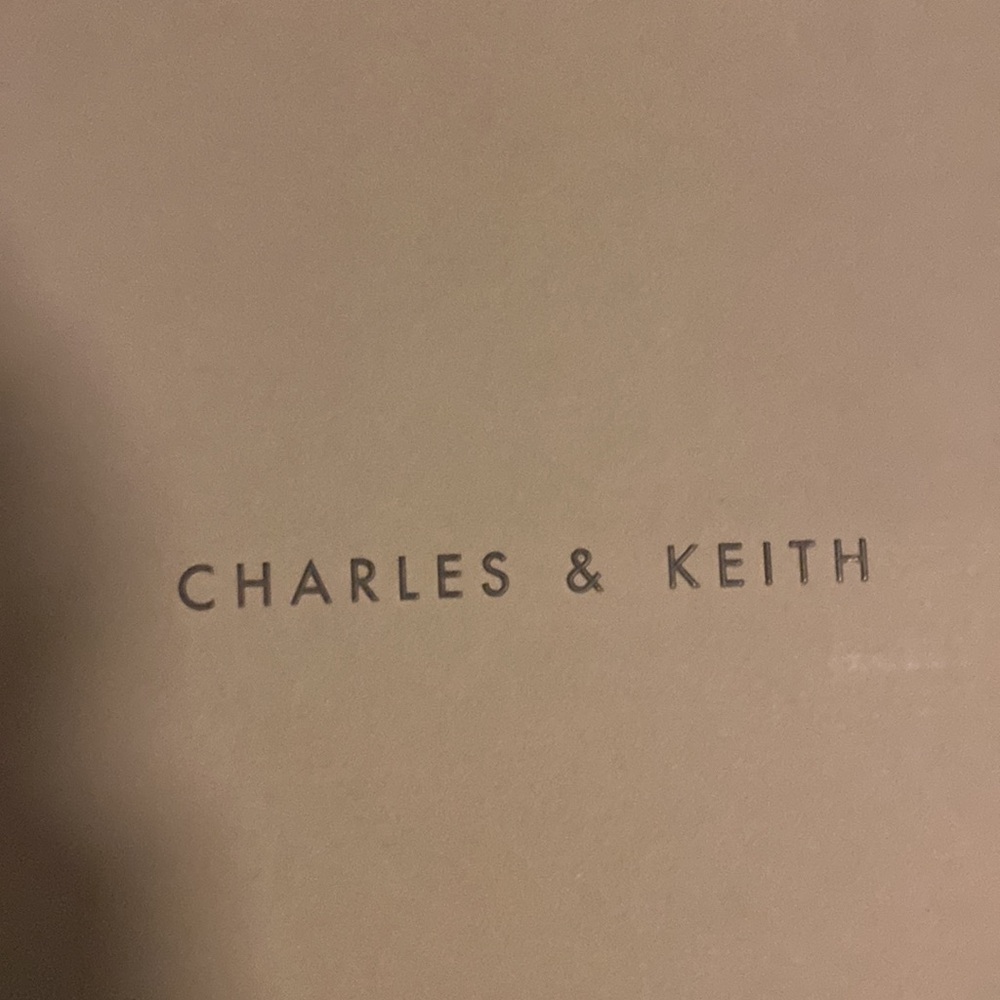 Charles and Keith chunky platform shoes - Picture 9 of 11